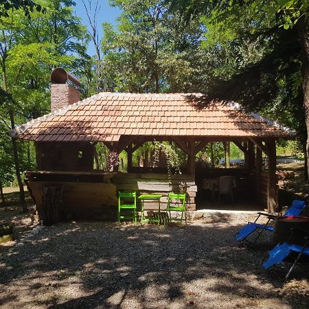 Konaciste Mali Izvor Villa Boljevac Kültér fotó