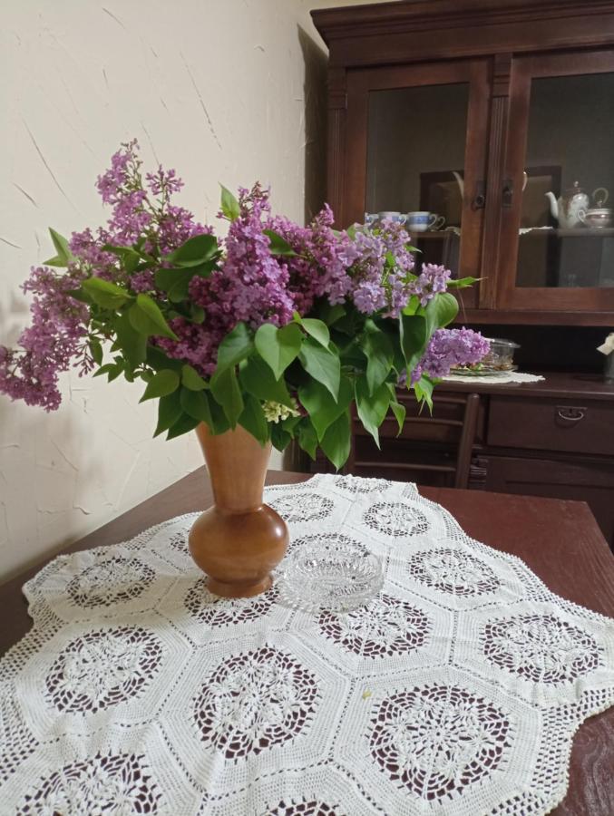 Konaciste Mali Izvor Villa Boljevac Kültér fotó