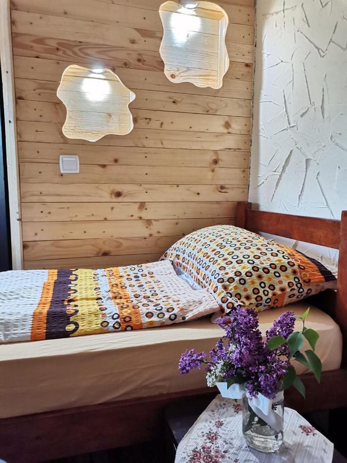 Konaciste Mali Izvor Villa Boljevac Kültér fotó