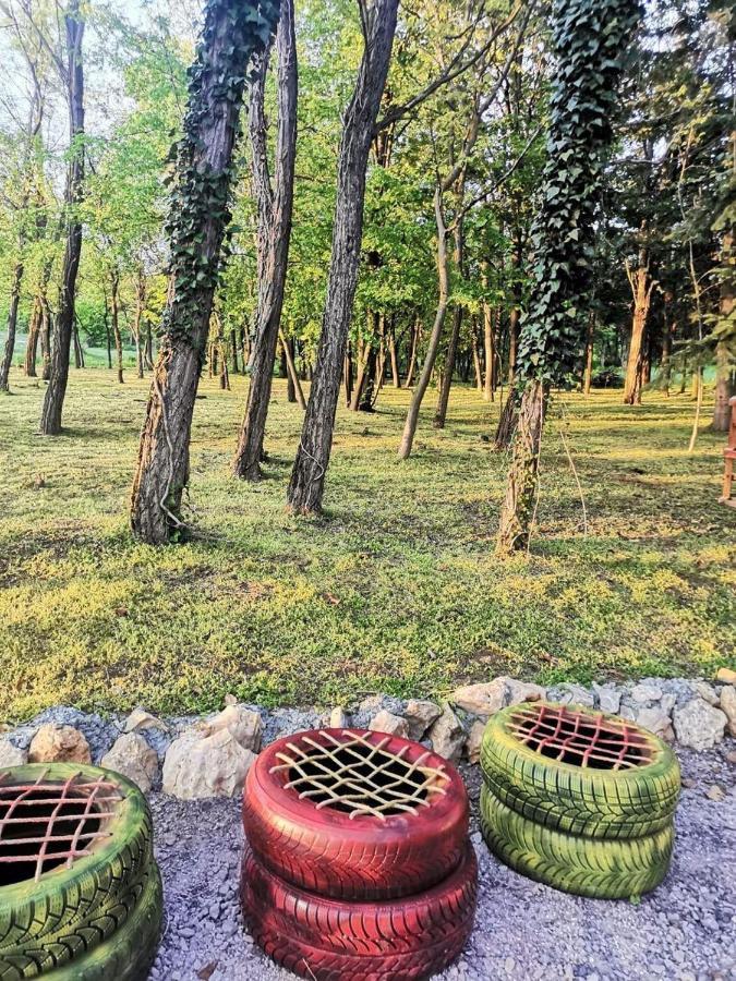 Konaciste Mali Izvor Villa Boljevac Kültér fotó