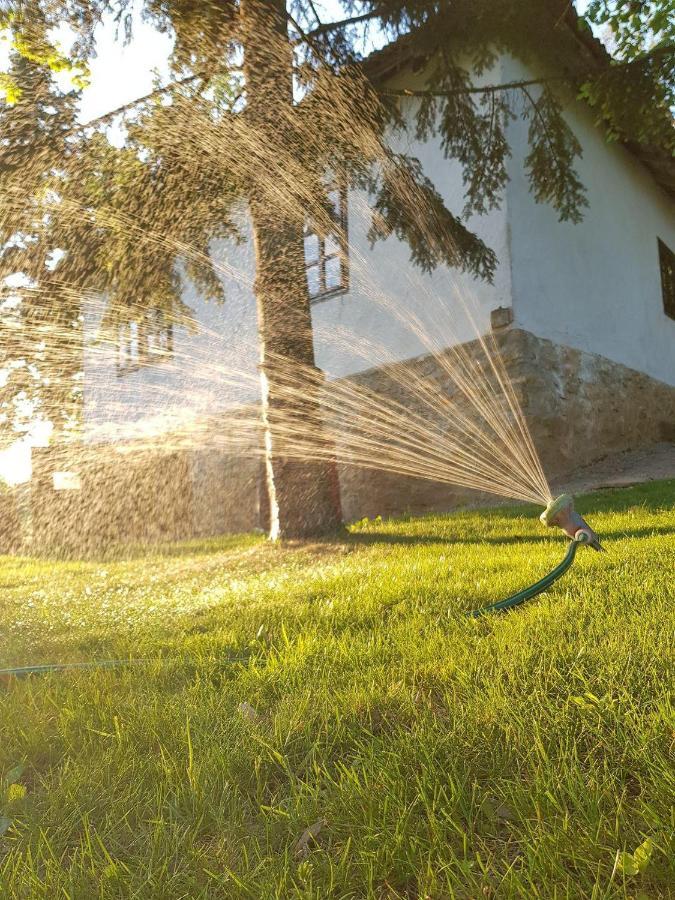 Konaciste Mali Izvor Villa Boljevac Kültér fotó