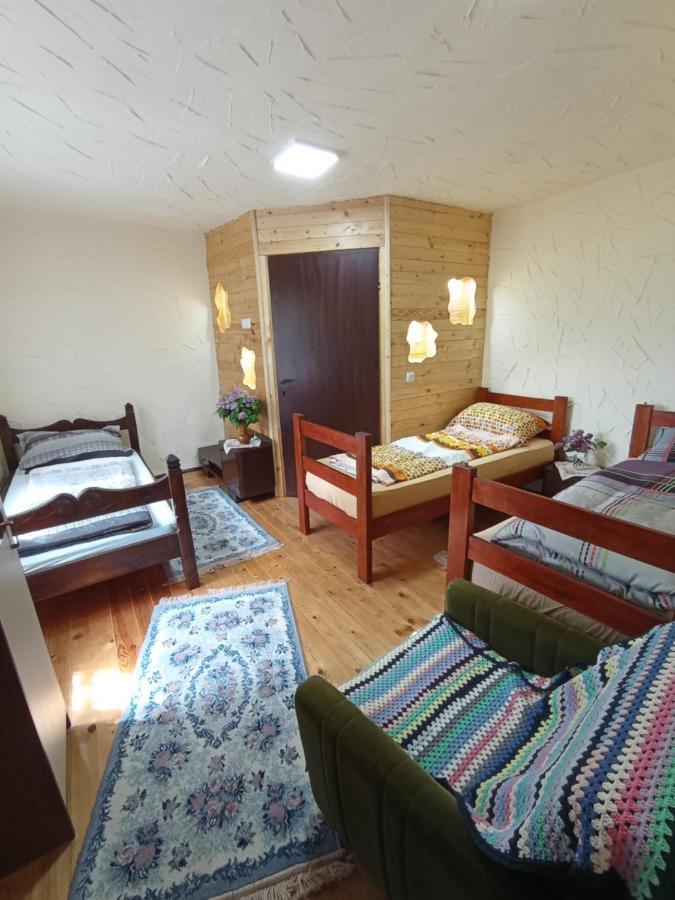 Konaciste Mali Izvor Villa Boljevac Kültér fotó