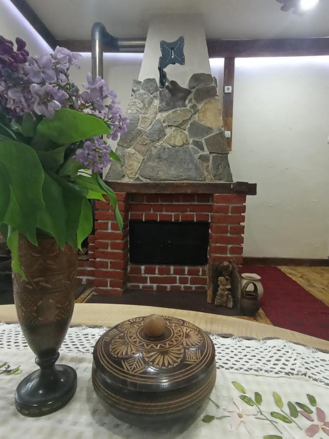 Konaciste Mali Izvor Villa Boljevac Kültér fotó