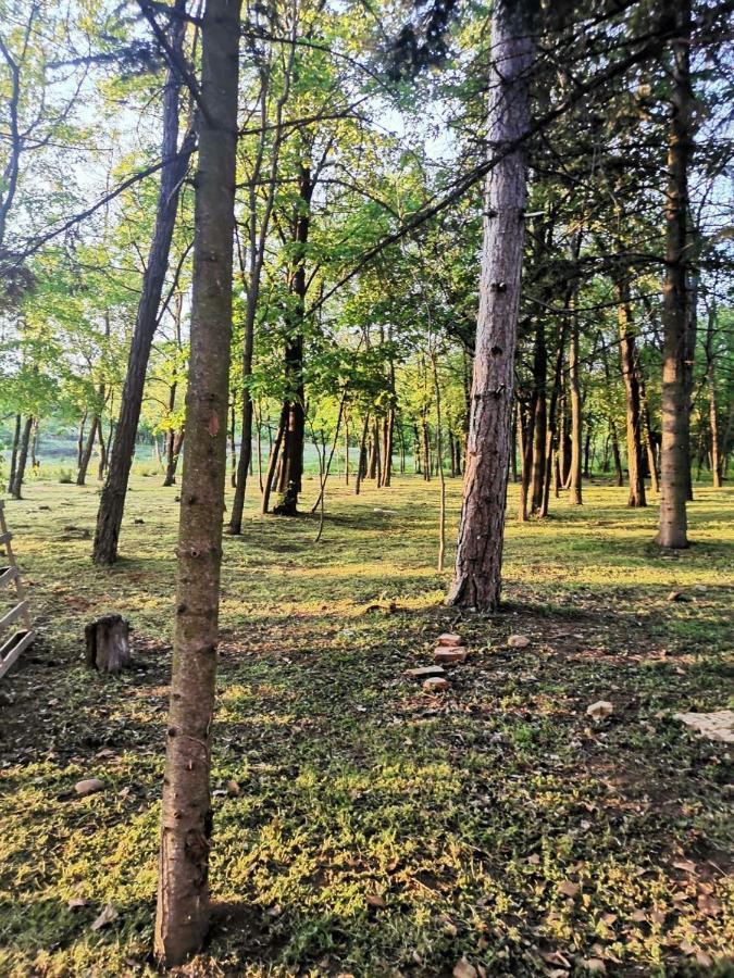 Konaciste Mali Izvor Villa Boljevac Kültér fotó