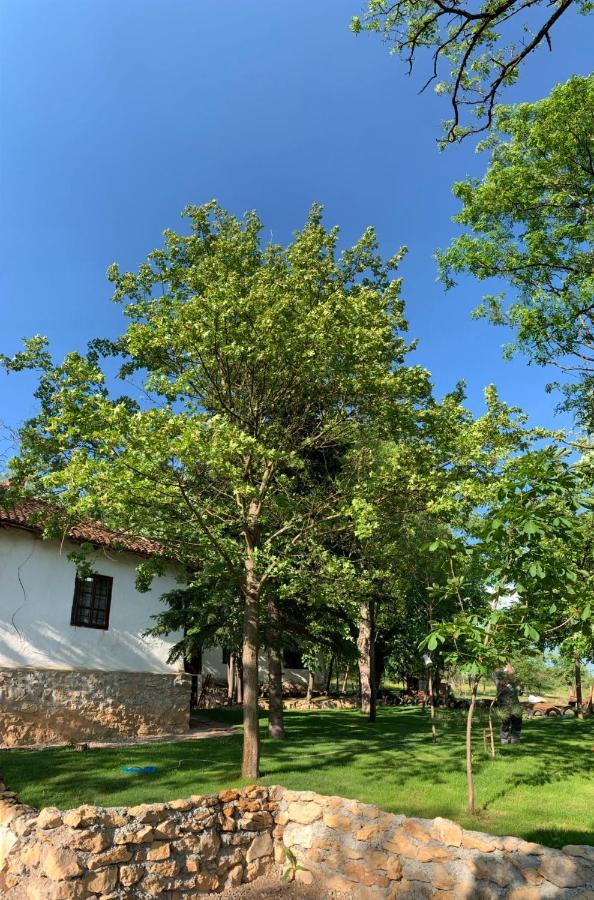 Konaciste Mali Izvor Villa Boljevac Kültér fotó