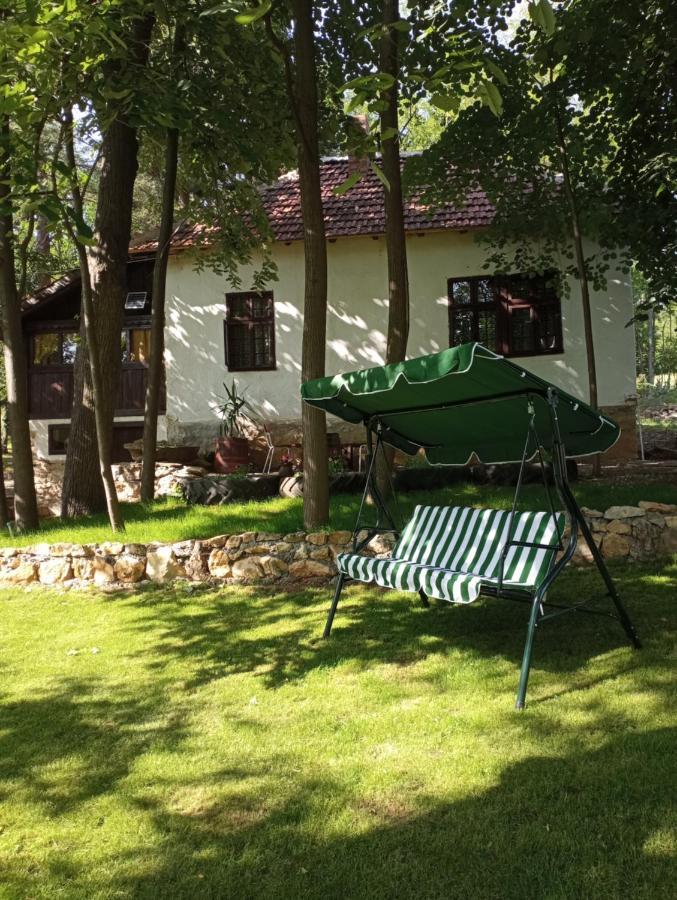 Konaciste Mali Izvor Villa Boljevac Kültér fotó