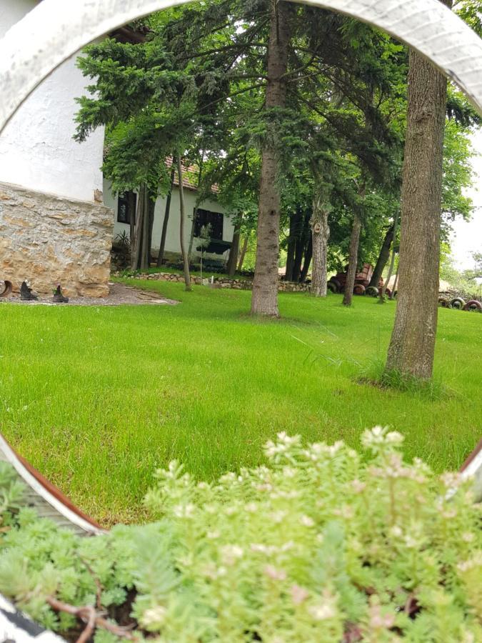 Konaciste Mali Izvor Villa Boljevac Kültér fotó